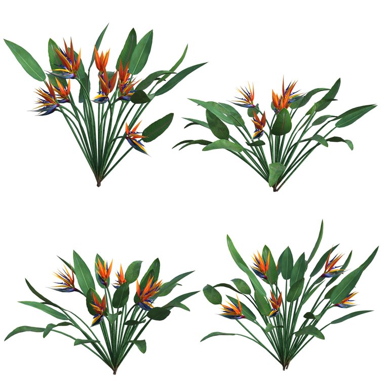flowers-4065899.png