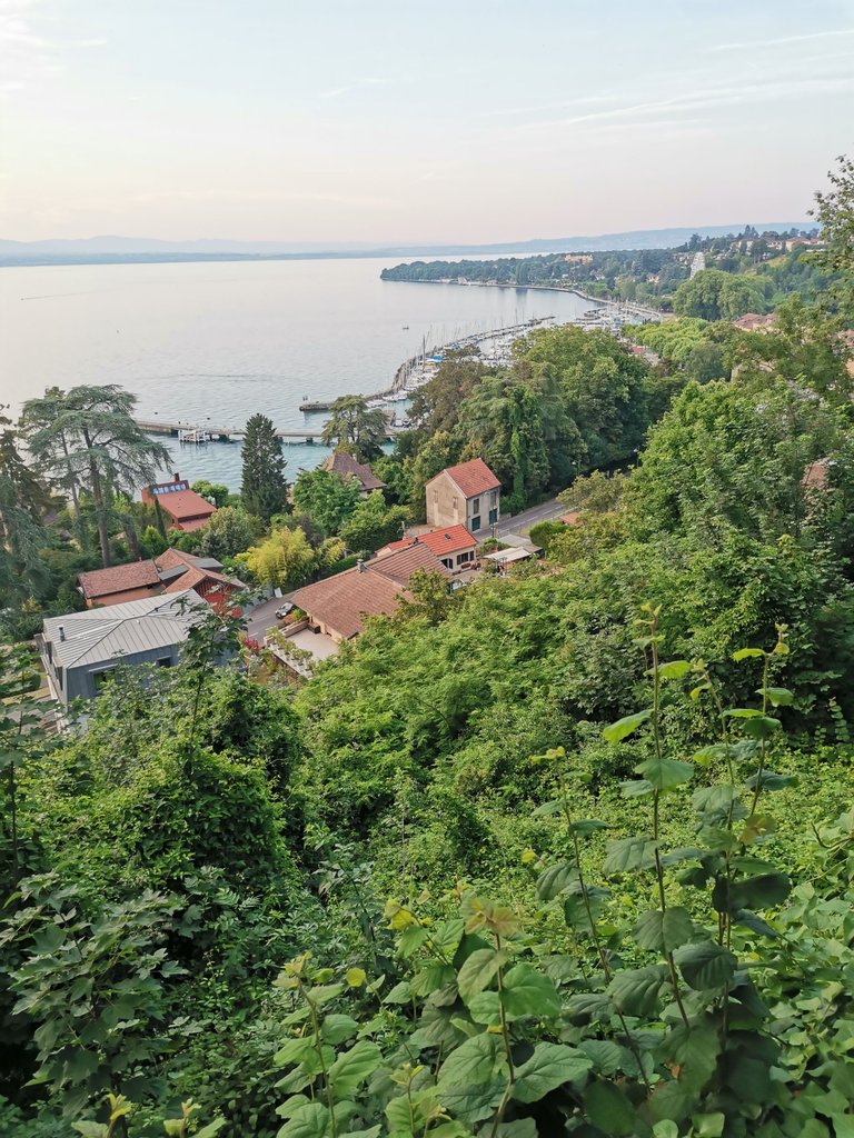 IMG_20250622_204143.jpg