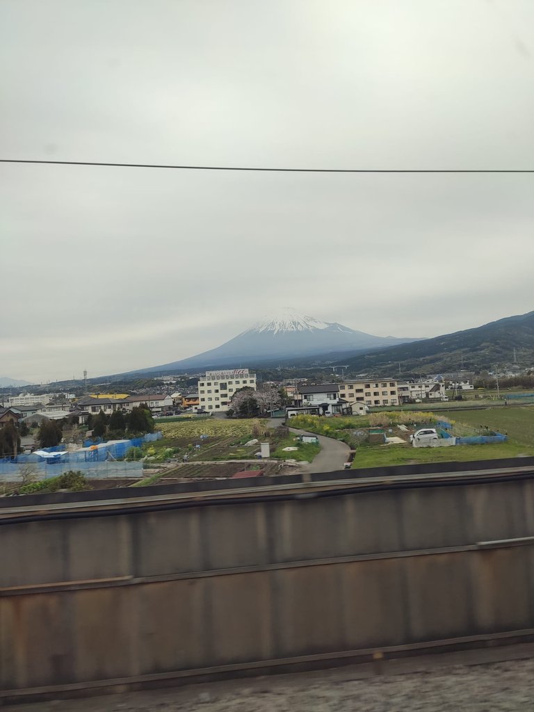 IMG-20230331-WA0000.jpg