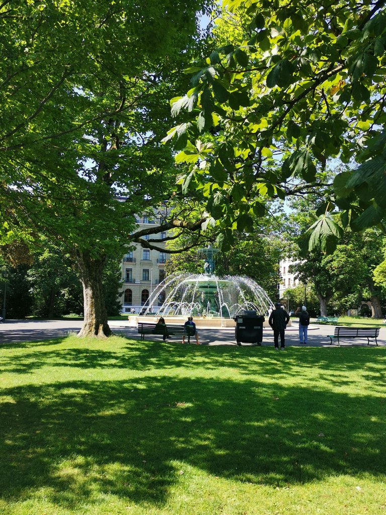 IMG_20250617_111900.jpg