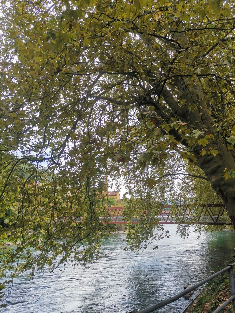 IMG_20230921_131304.jpg