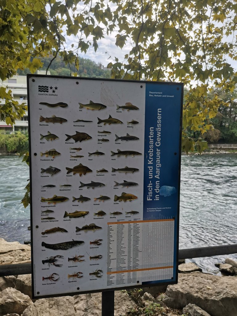 IMG_20230921_131033.jpg