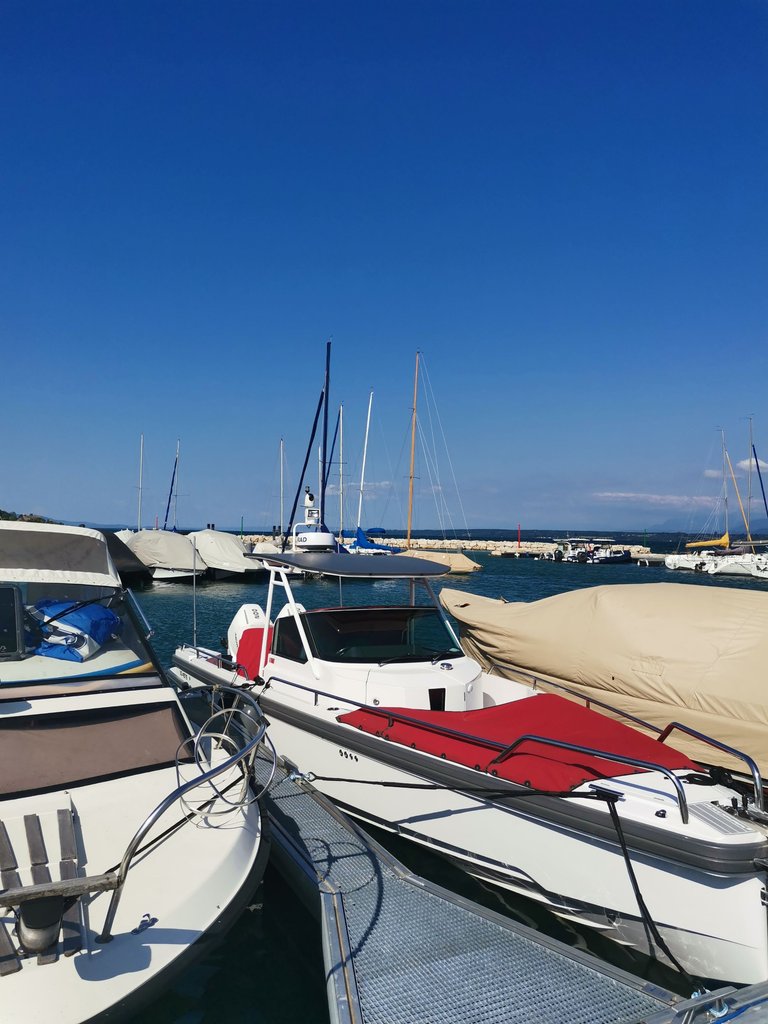 IMG_20250616_171826.jpg