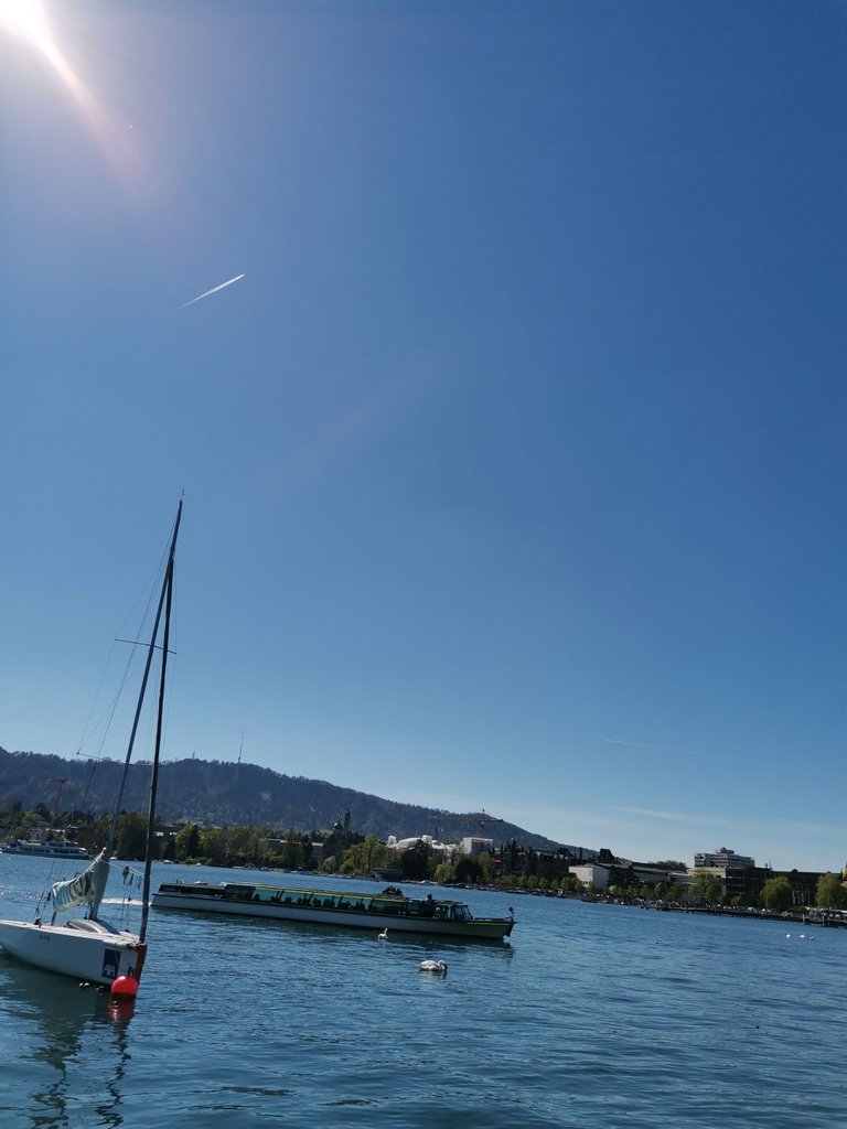 IMG_20220418_151838.jpg