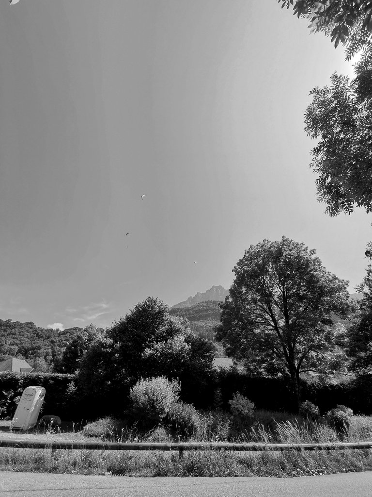 IMG_20250626_120133.jpg