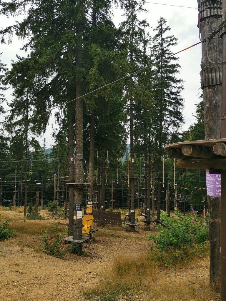 IMG_20250822_123003.jpg