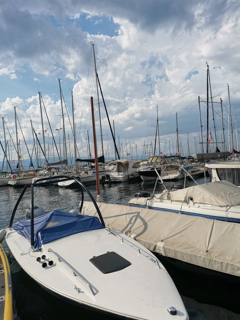 IMG_20250621_180741.jpg