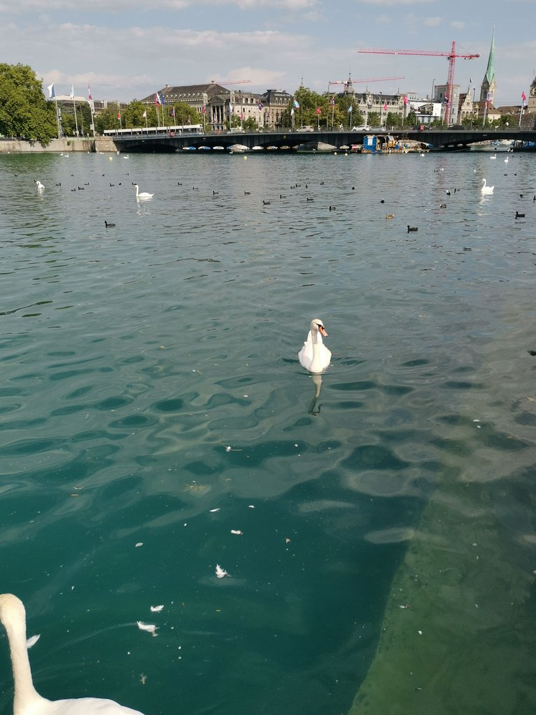 IMG_20250703_093957.jpg