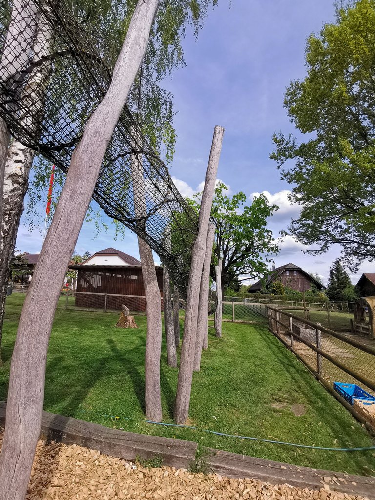 IMG_20250422_160828.jpg