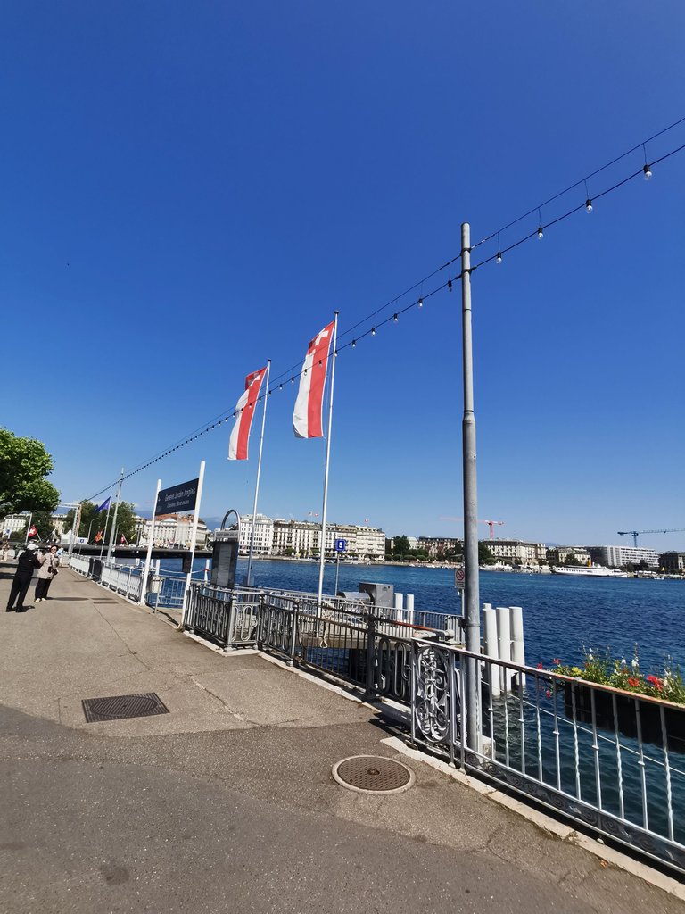 IMG_20250617_111535.jpg