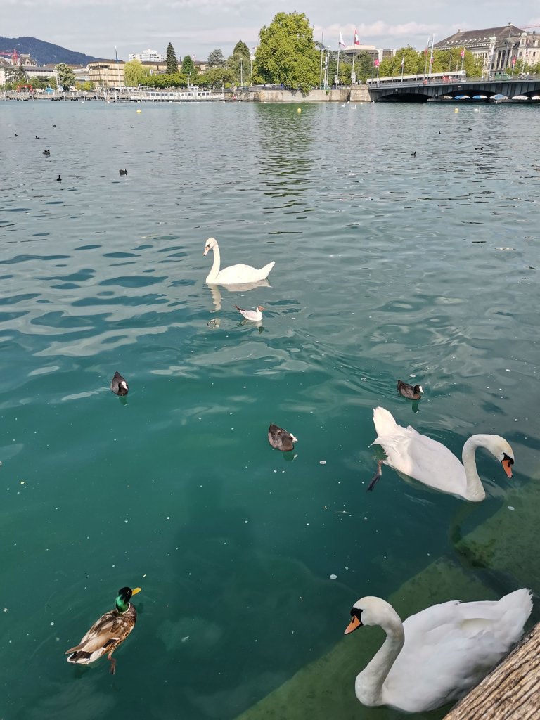 IMG_20250703_094024.jpg