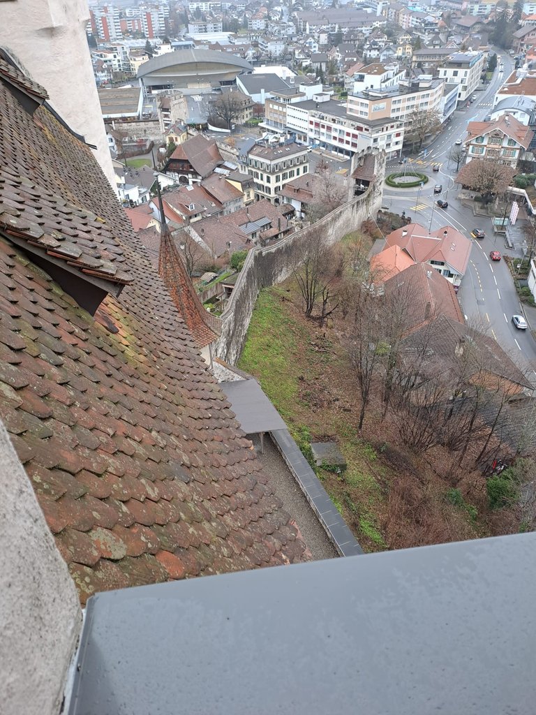 IMG-20240106.jpg