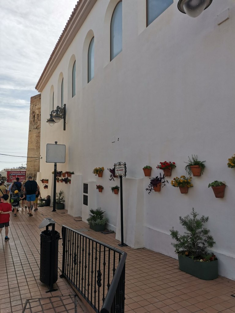 IMG_20231026_121035.jpg