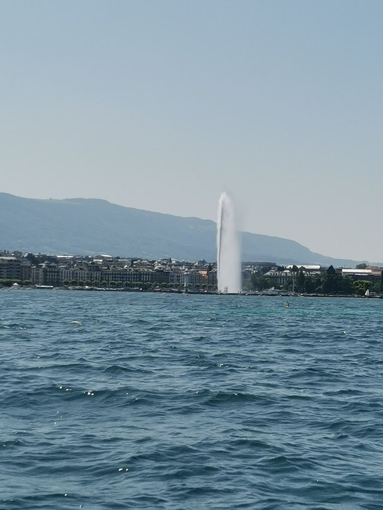 IMG_20250617_125317.jpg