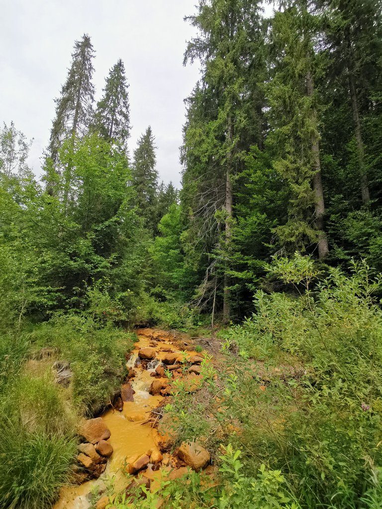 IMG_20250822_121510.jpg