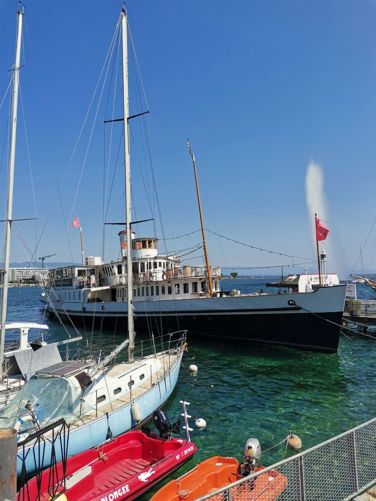 IMG_20250617_112239.jpg