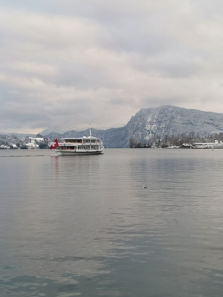 IMG_20240119_161701.jpg