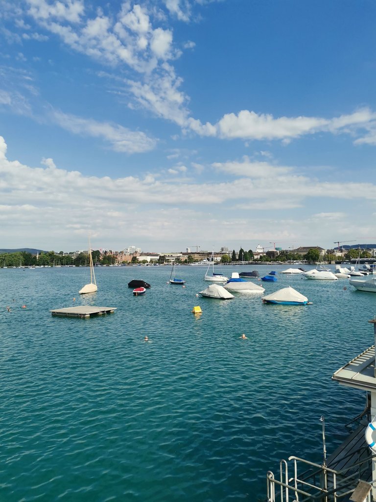 IMG_20250703_090839.jpg