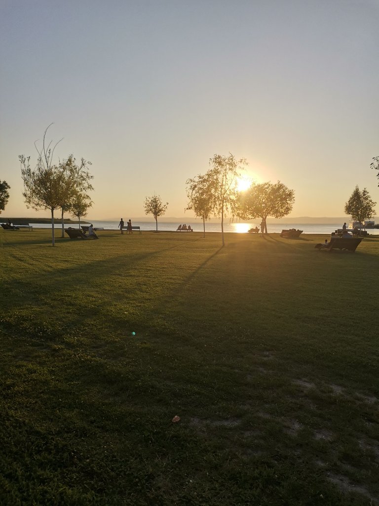 IMG_20250812_193148.jpg