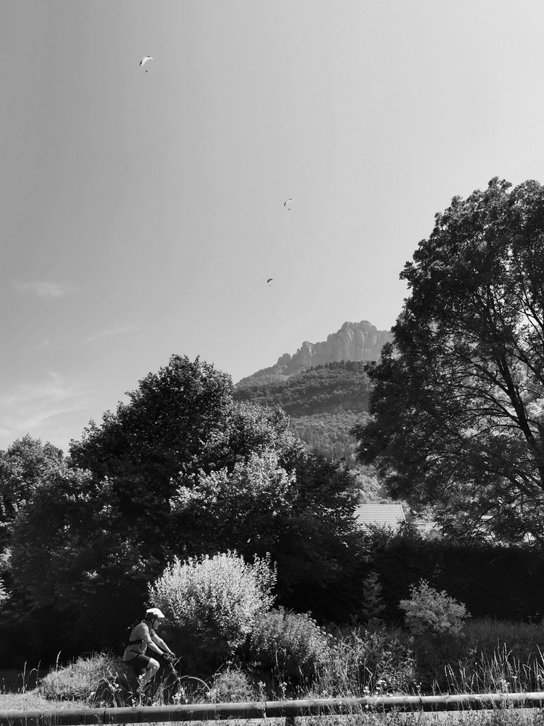 IMG_20250626_120122.jpg
