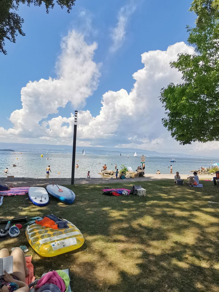 IMG_20250621_143018.jpg