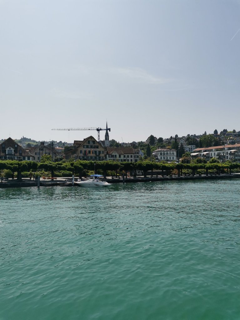 IMG_20250613_151241.jpg