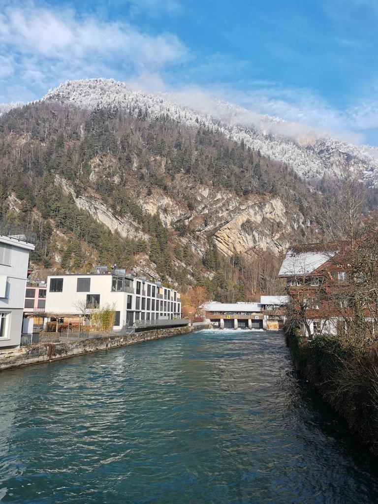 IMG_20240110_114137.jpg