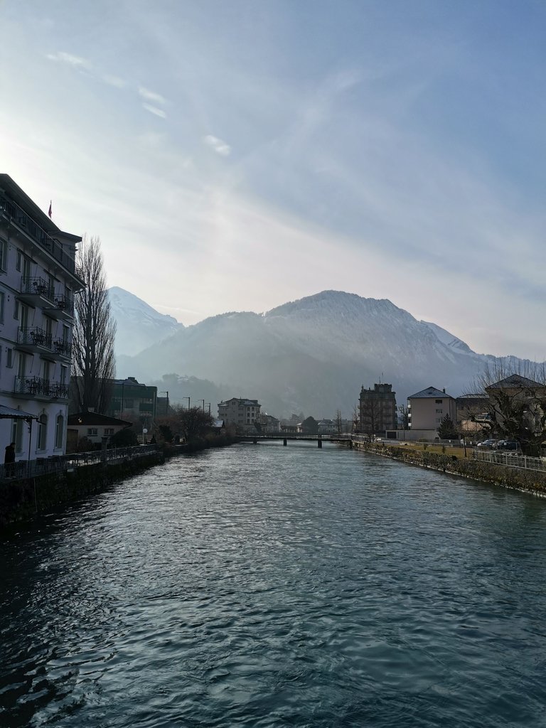 IMG_20240110_114149.jpg