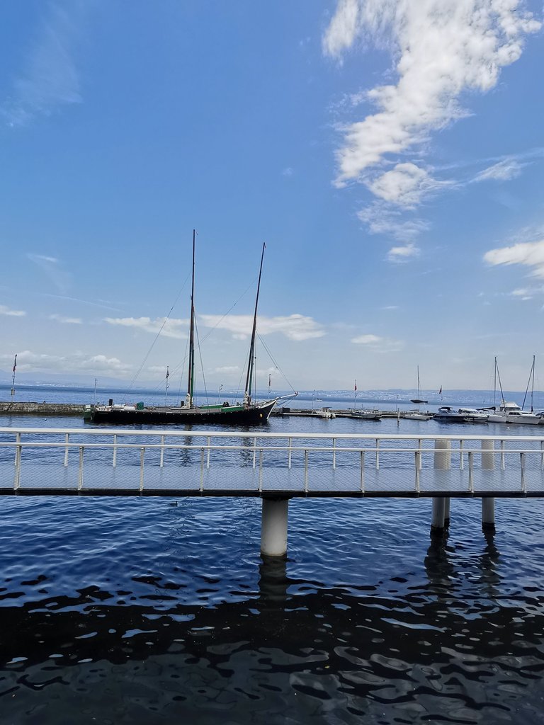 IMG_20250623_114922.jpg