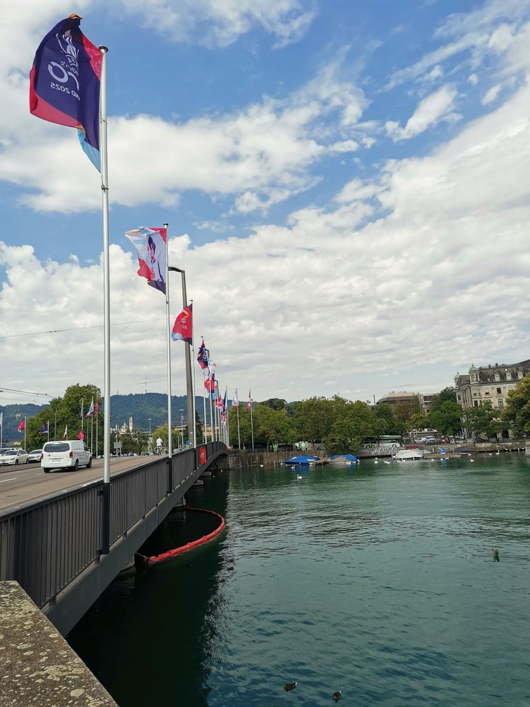 IMG_20250703_094345.jpg