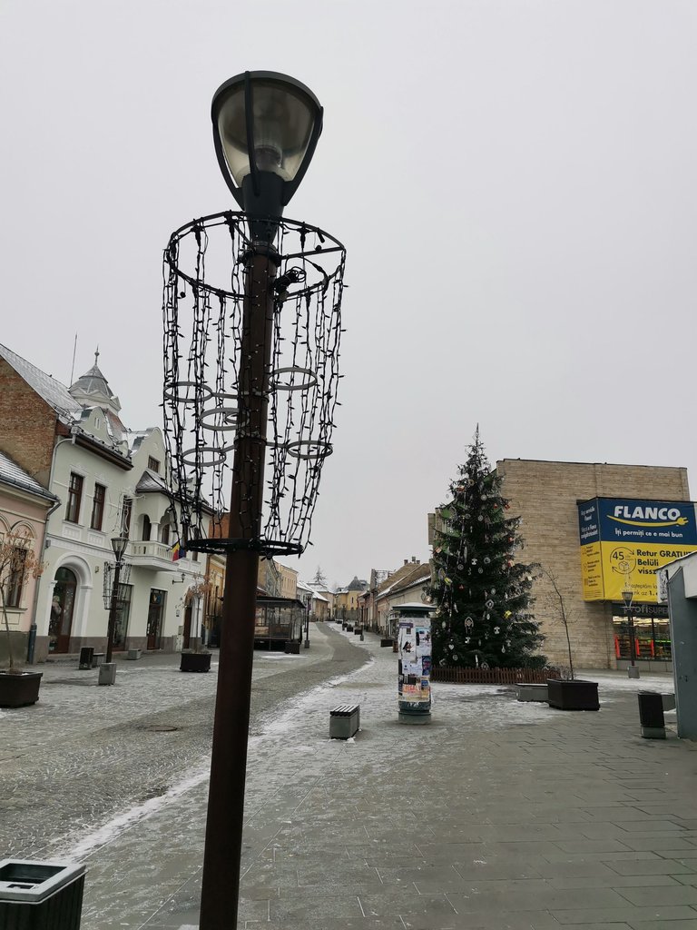 IMG_20231210_092519.jpg