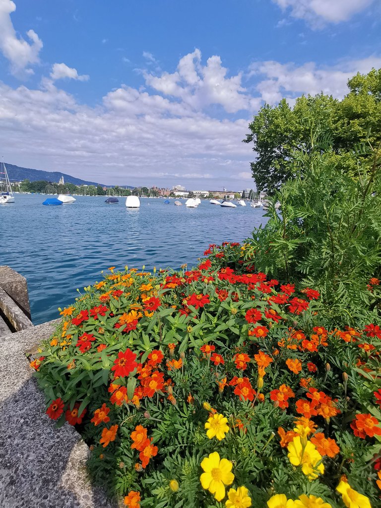 IMG_20250703_093429.jpg