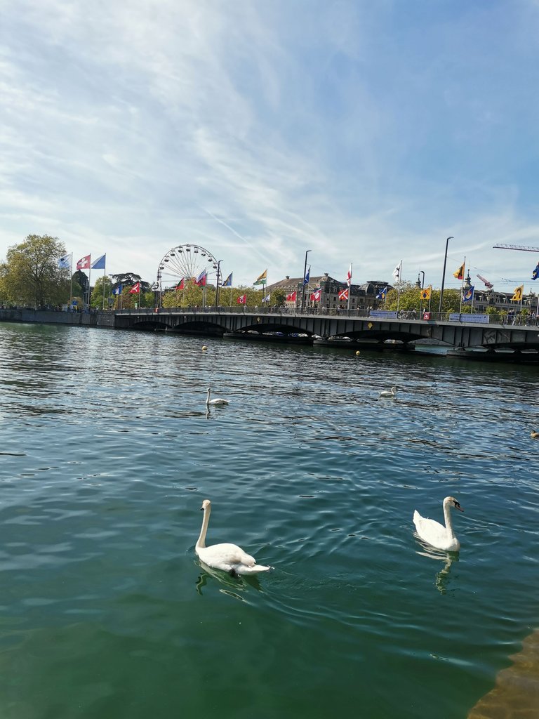 IMG_20250428_154537.jpg