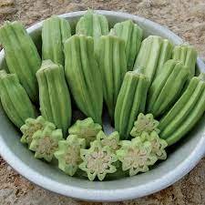 okra.jpg