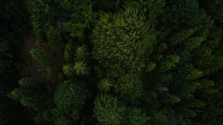 DJI_0066.jpg