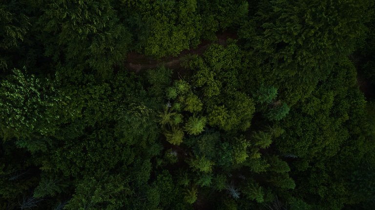 DJI_0067.jpg