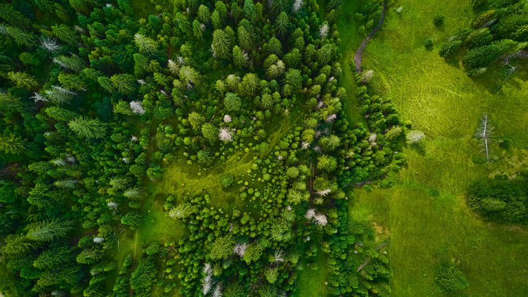 DJI_0639.jpg