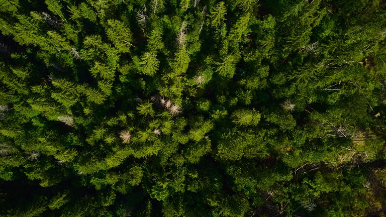 DJI_0581.jpg