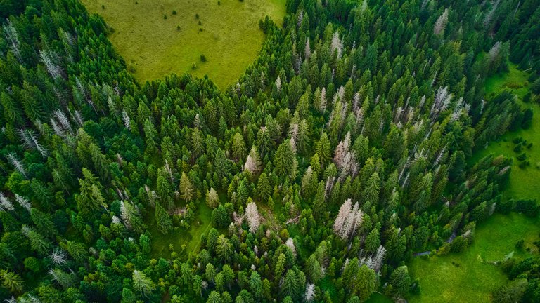 DJI_0641.jpg