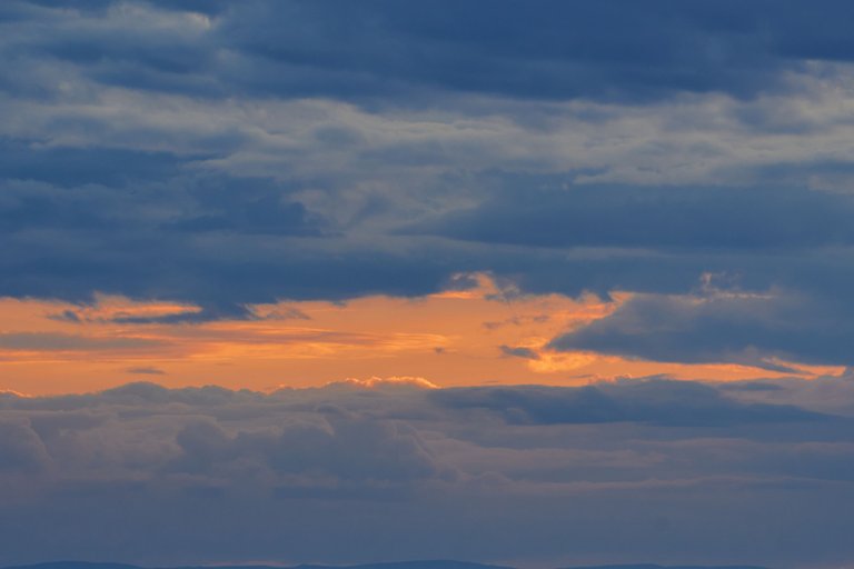 DSC09371._1jpg.jpg