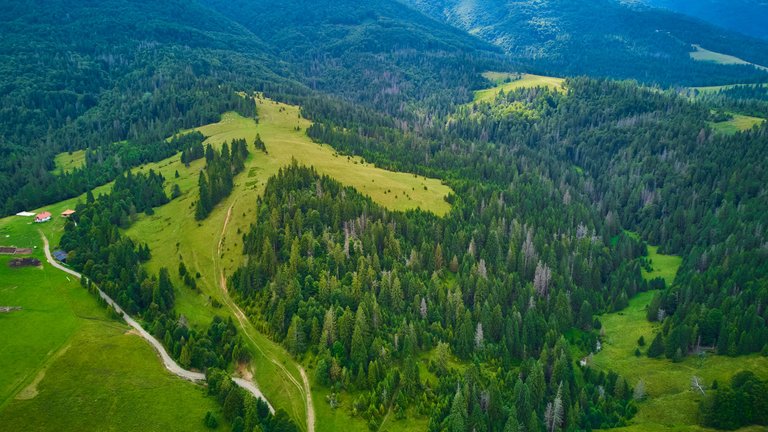 DJI_0635.jpg