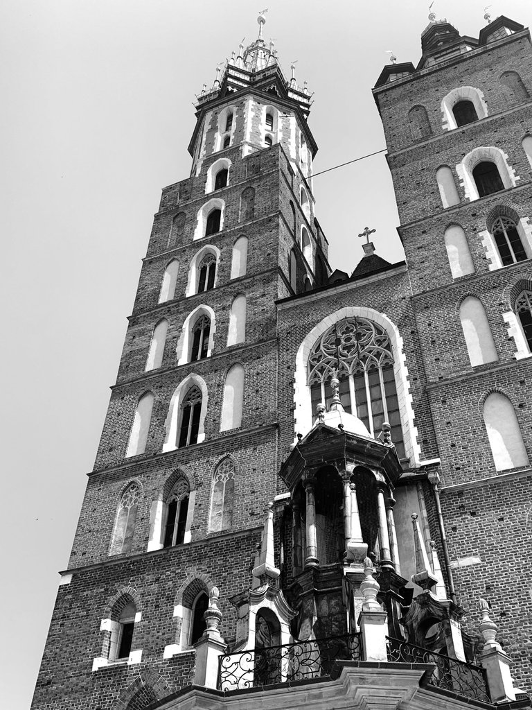 DSC09068 14.jpg