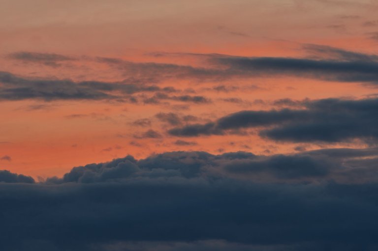 DSC09390._1jpg.jpg