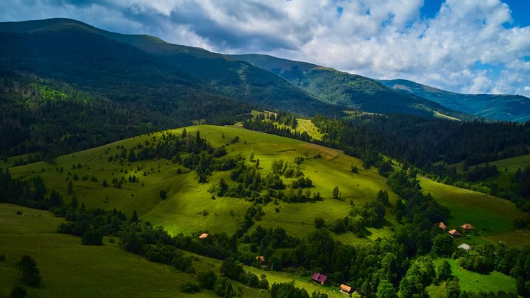 DJI_0592.jpg