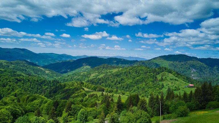 DJI_0789.jpg