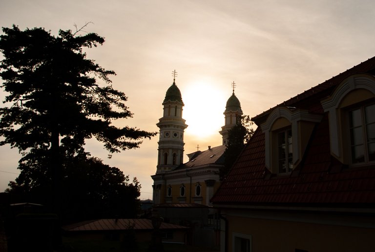 DSC_7354.jpg