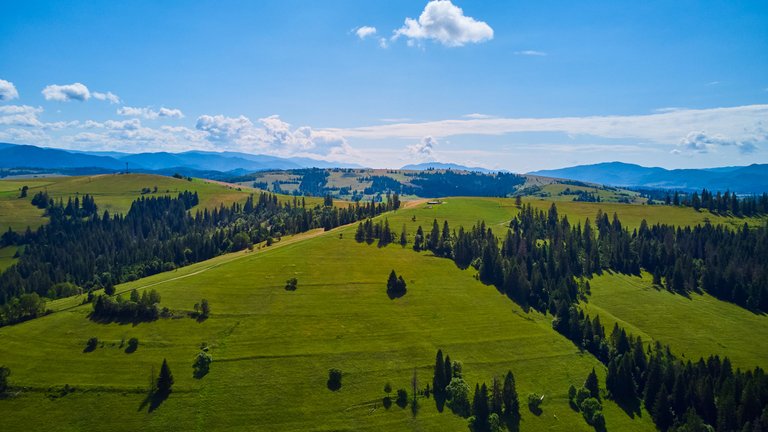 DJI_0522.jpg
