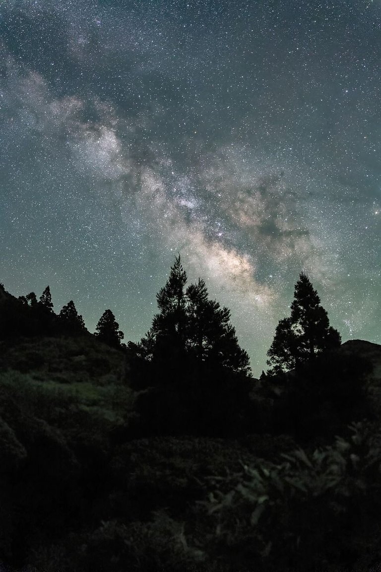 starry-sky-8041247_1280.jpg