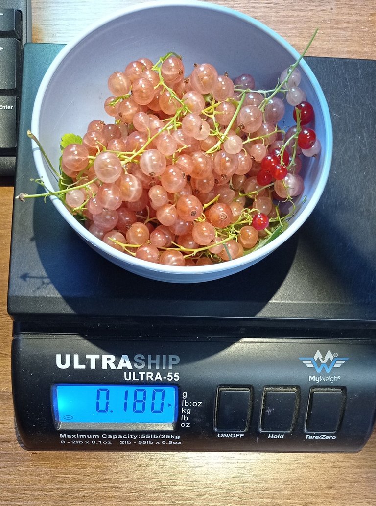 Whitecurrants1.jpg