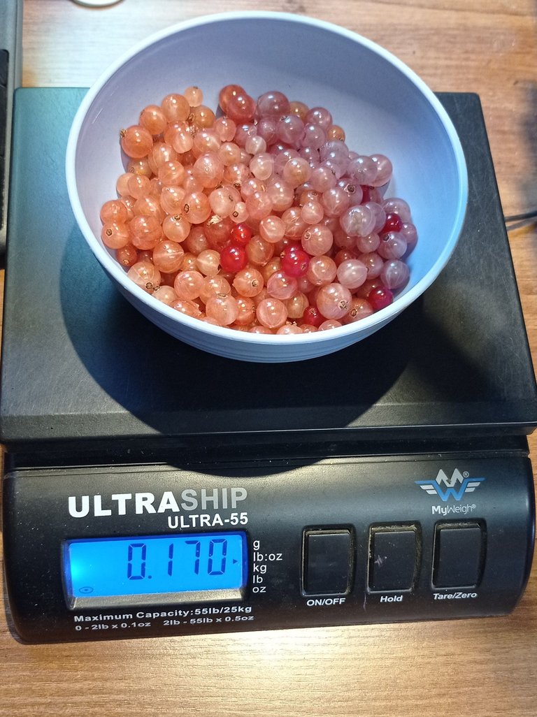 Whitecurrants2.jpg